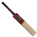 CA Pro 20/20